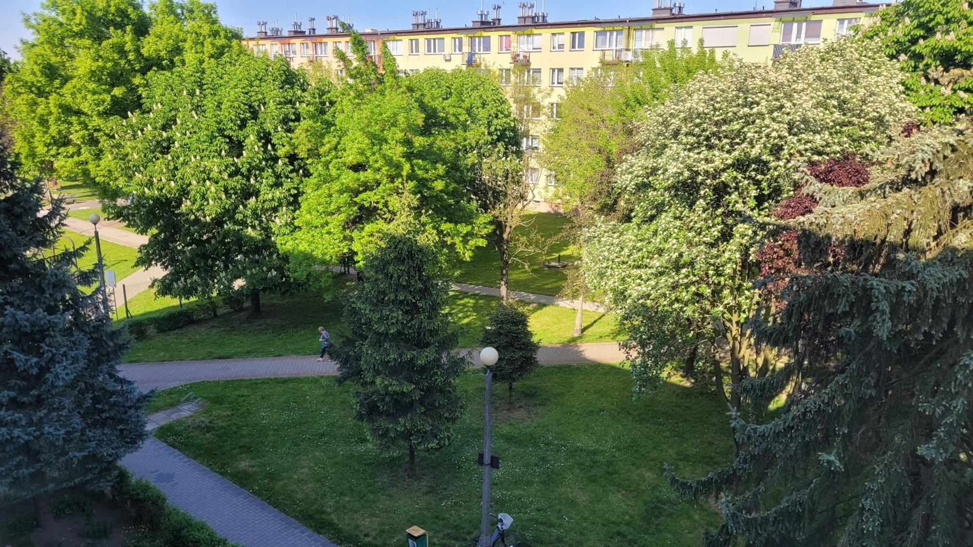 Dams Apartament Oświęcim מראה חיצוני תמונה